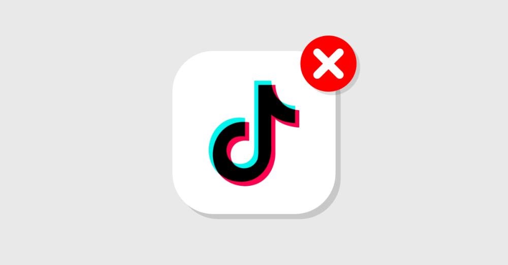 How to delete your TikTok watch data and your TikTok account